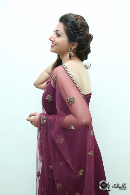 Hamsa-Nandini-at-Bengal-Tiger-Movie-Audio-Launch